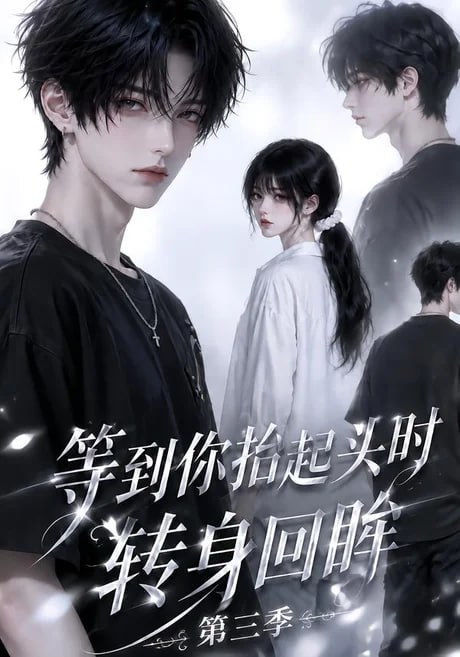 等到你抬起头时转身回眸（第三季）